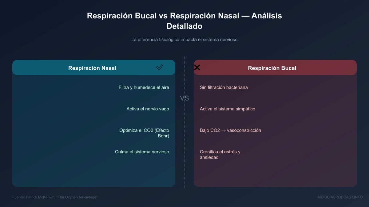 Diagrama explicativo sobre el efecto Bohr, el óxido nítrico y el nervio vago