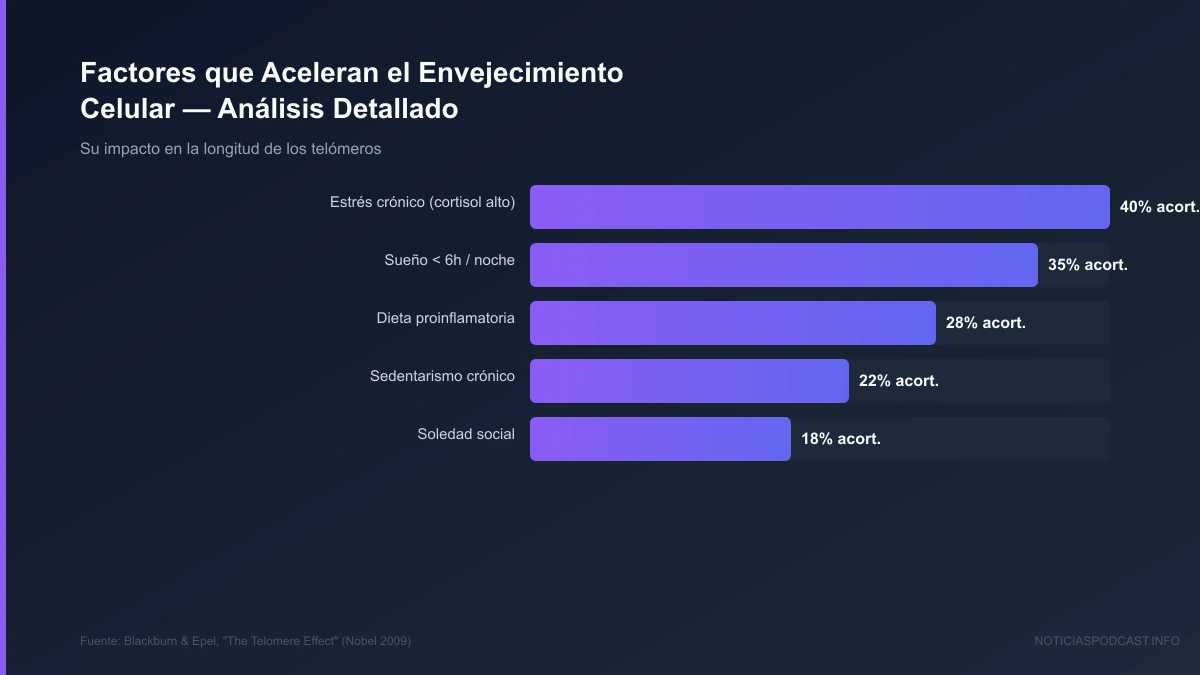 Infografía conceptual de los pilares de la longevidad consciente y la epigenética antienvejecimiento